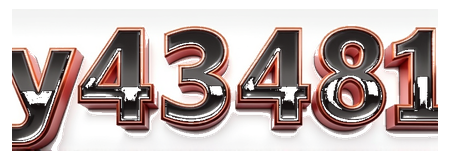 y43481 logo